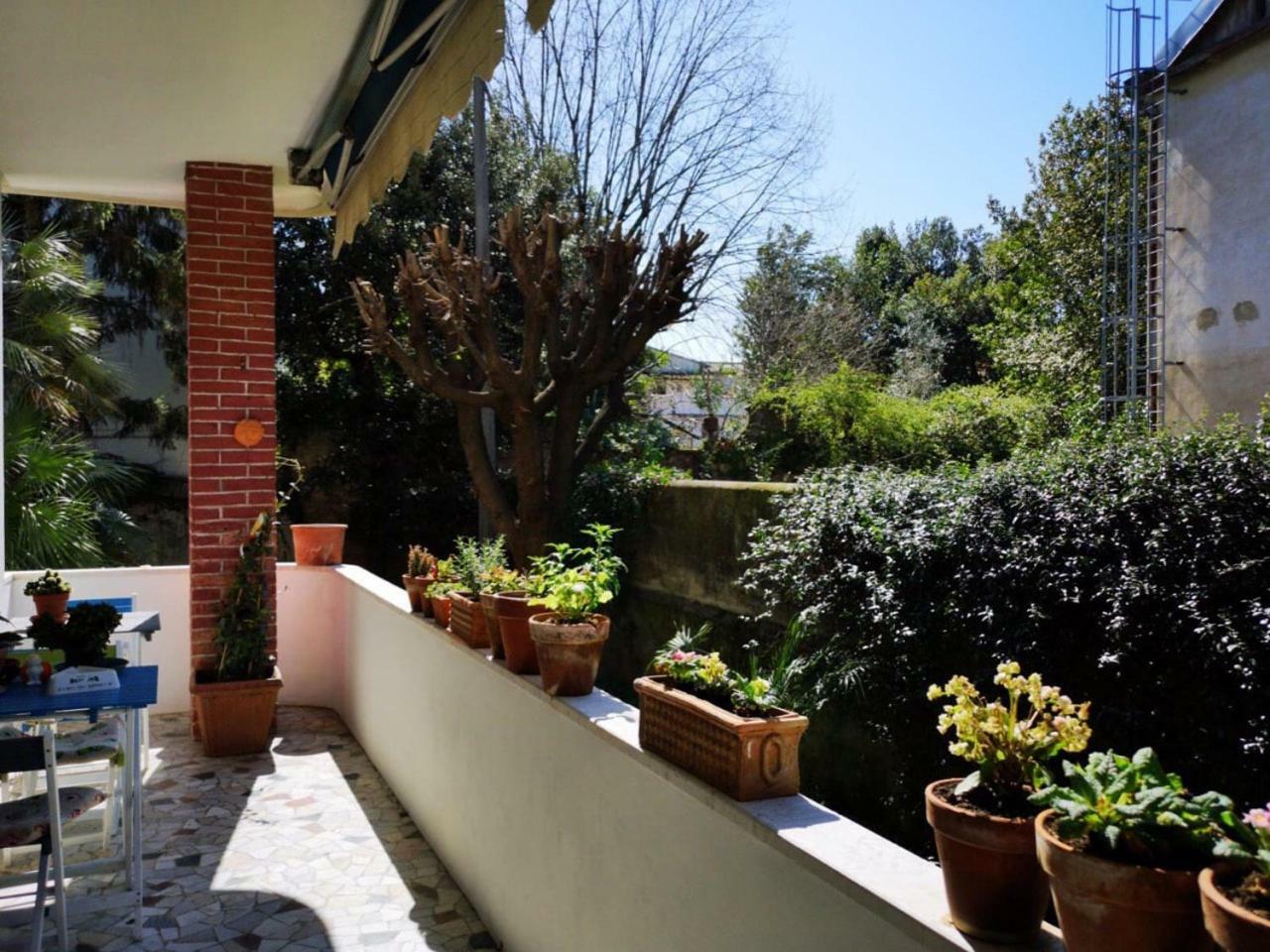 Wanderlust Bnb Pisa Buitenkant foto