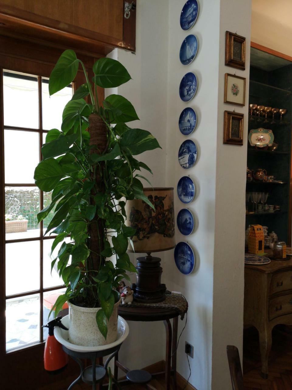 Wanderlust Bnb Pisa Buitenkant foto